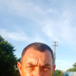 ������, ����������, 41 ���