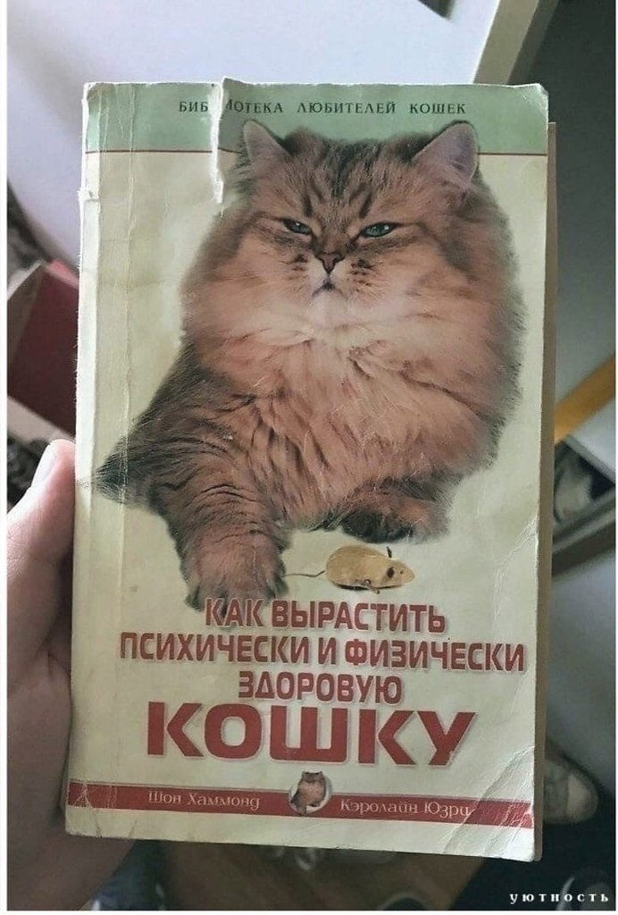      ?)