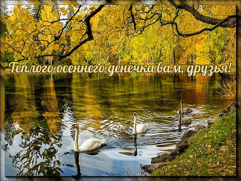   ,    . - 6  2021  12:04