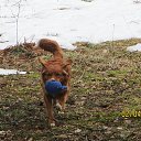 ���� ��������, Kouvola, 78 ��� - ��������� 2 ������ 2021 � ������ ������ � ������ ������...�