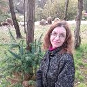  , , 48  -  29  2021     .