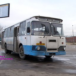 Alex, ������, 55 ���