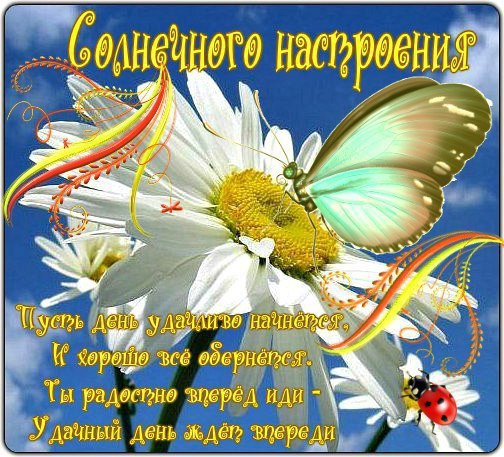   ,    . - 1  2021  16:28