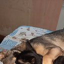 ���� ��������, ���������, 58 ��� - ��������� 9 ��� 2021