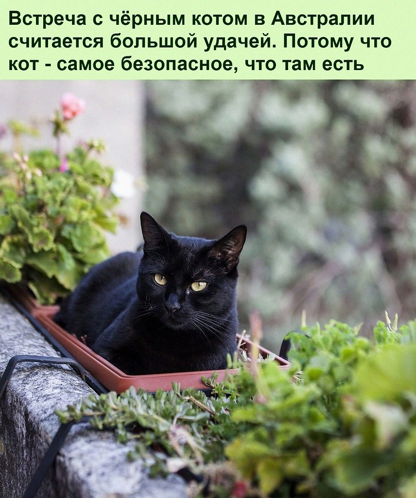   :D - 27  2021  16:49