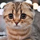 ���� Good Keeper, ������ �����, 37 ��� - ��������� 16 ������� 2021 � ������ ���� ����������