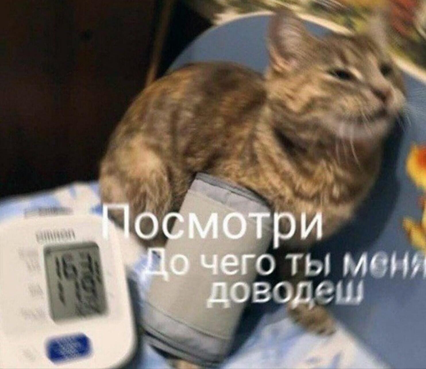 ***Victoria Viktorovna*** - 2  2022  09:02