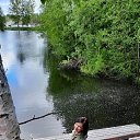 ���� ����, ������������, 53 ���� - ��������� 9 �������� 2021 � ������ ���� ����������
