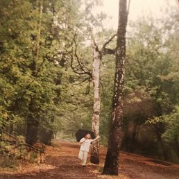 ���������, ������, 29 ���