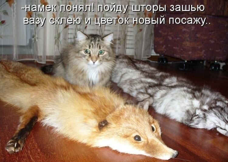    - 12  2021  11:40