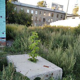 ���� �������, ������������, 62 ���� - ��������� 14 ������� 2021