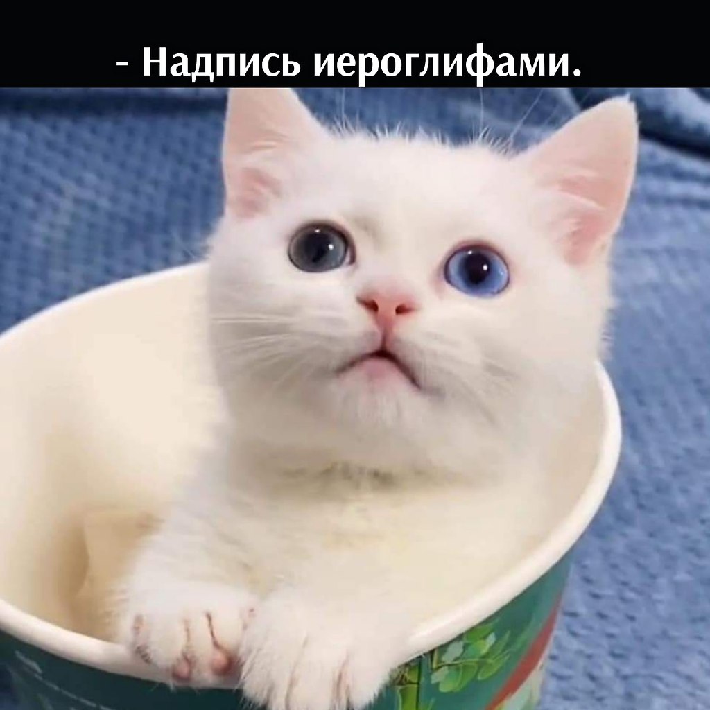       - 31  2021  10:23 - 3