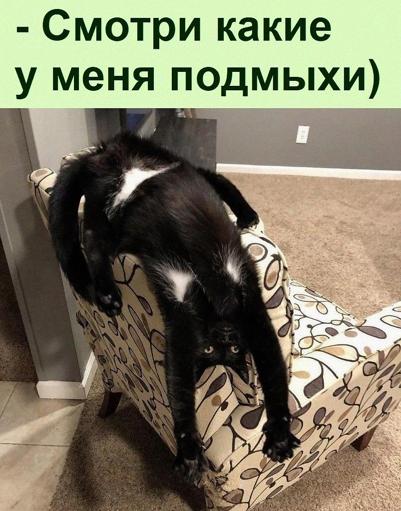   :D - 22  2022  08:31