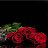  Denis, - -  9  2021