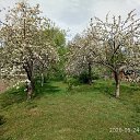 ���� �������, �����, 73 ���� - ��������� 18 ��� 2021 � ������ ���� ����������