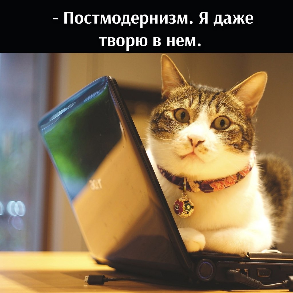       - 2  2021  16:31 - 2