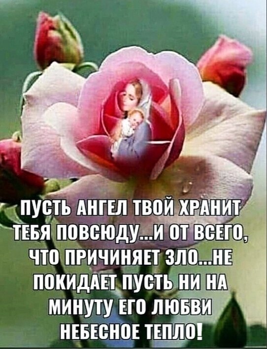 Дожди... Непроходимою стеною. У берегов твоих опять штормит... И доброта больших усилий стоит... И ...