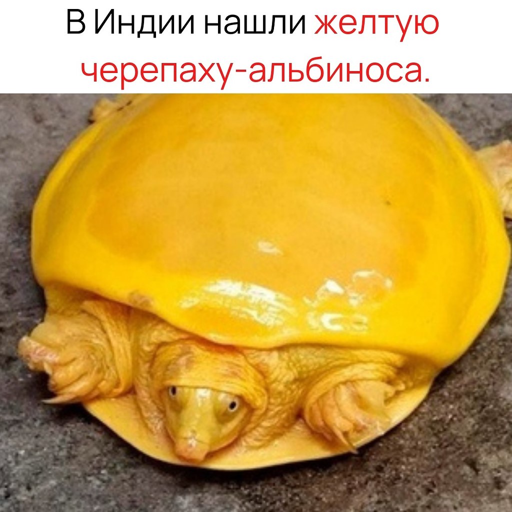  ,    .    ,    !