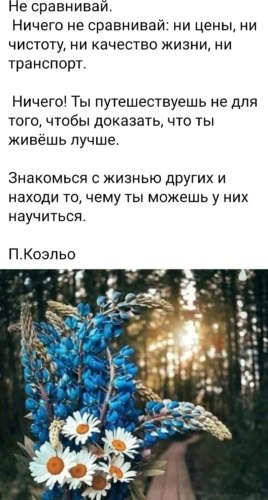   ! - 18  2021  08:22