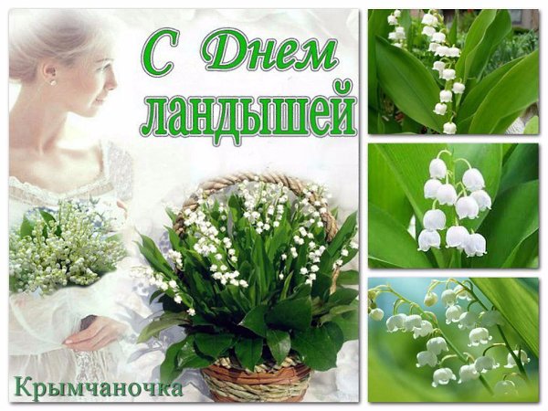   ,    . - 18  2021  22:56 - 4