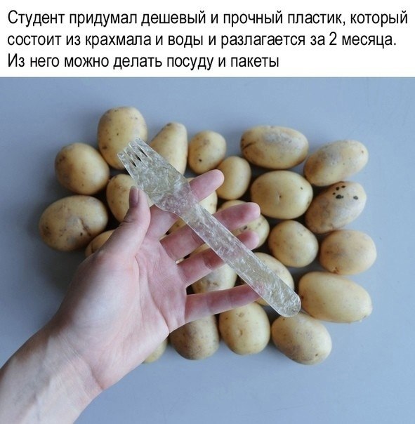    . - 2