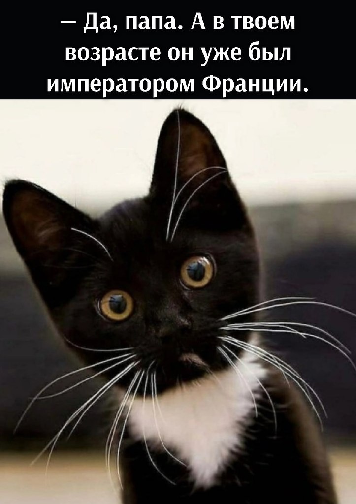       - 19  2022  13:07 - 2