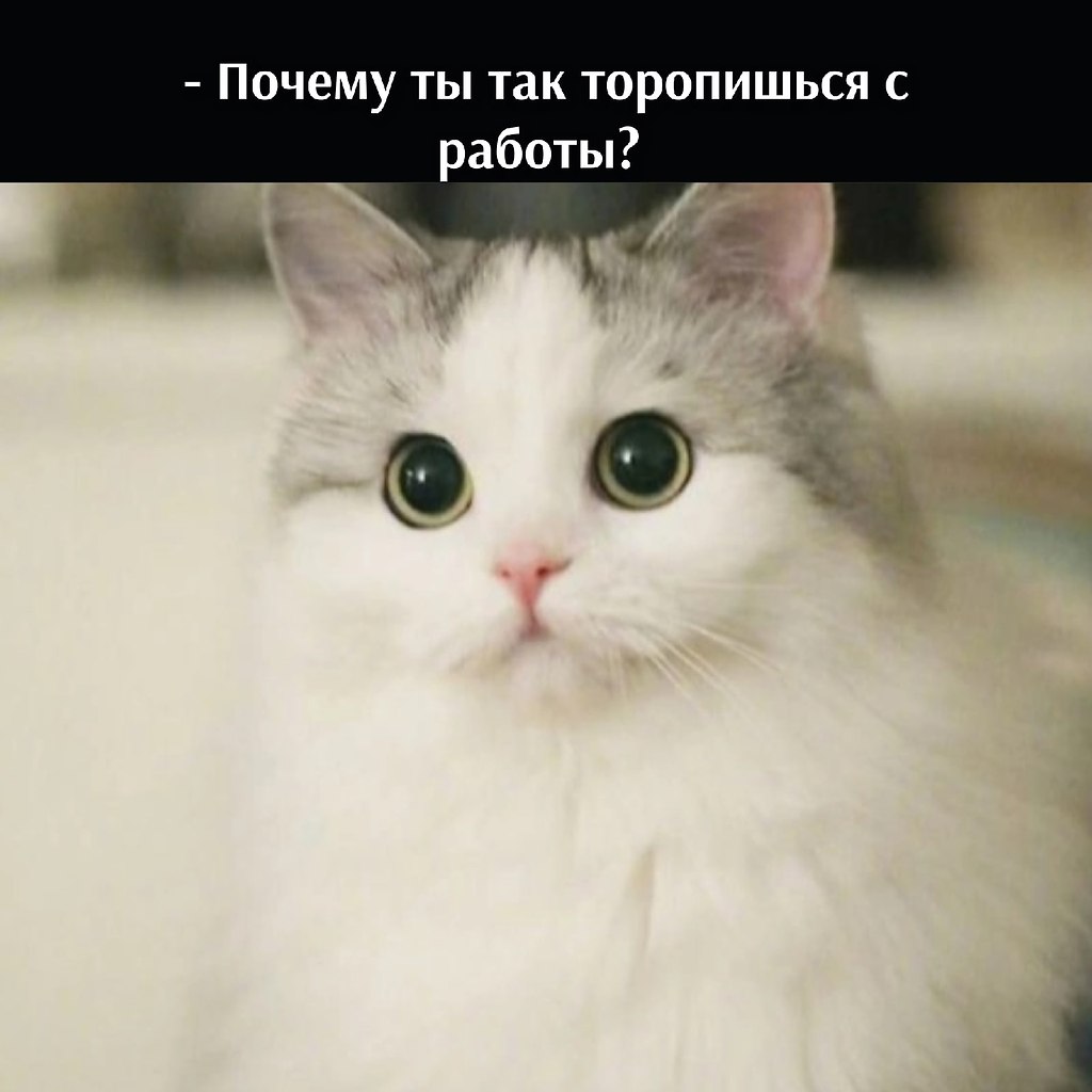       - 14  2022  19:13