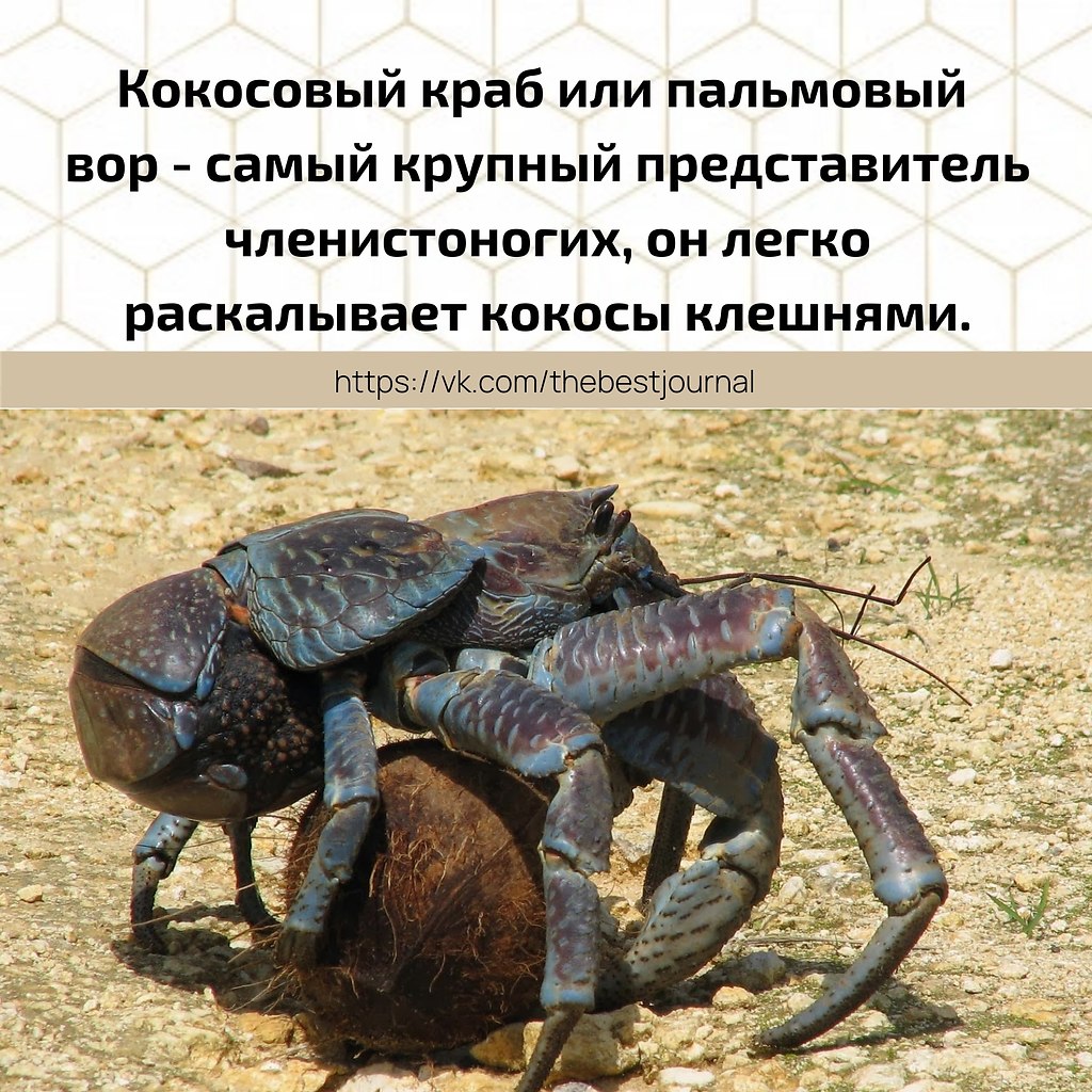 BEST | , ,  - 2  2021  13:14