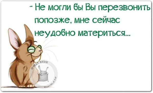 ������ ����� - 29 ����� 2021 � 09:44