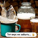  , , 49  -  19  2021   PIVO BEER