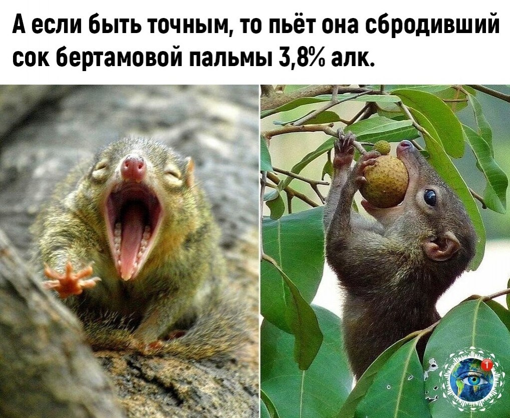 c   pa oeoe ooe...  - 2