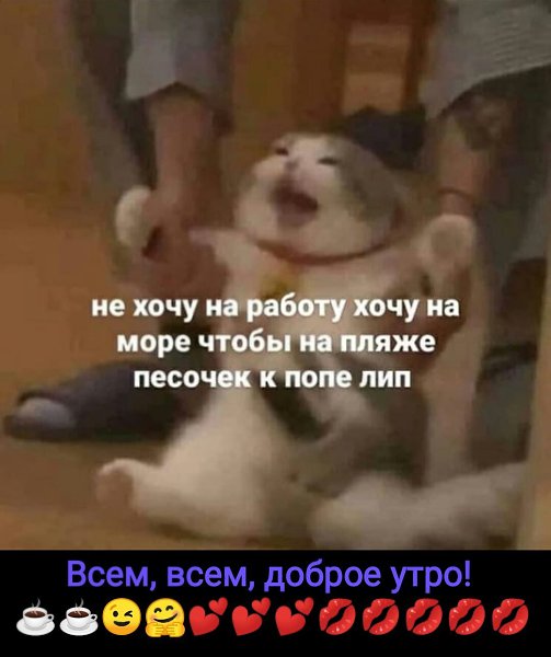 ***Victoria Viktorovna*** - 7  2021  03:47