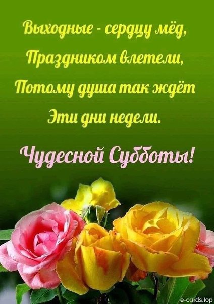   ,    . - 17  2021  14:16 - 7