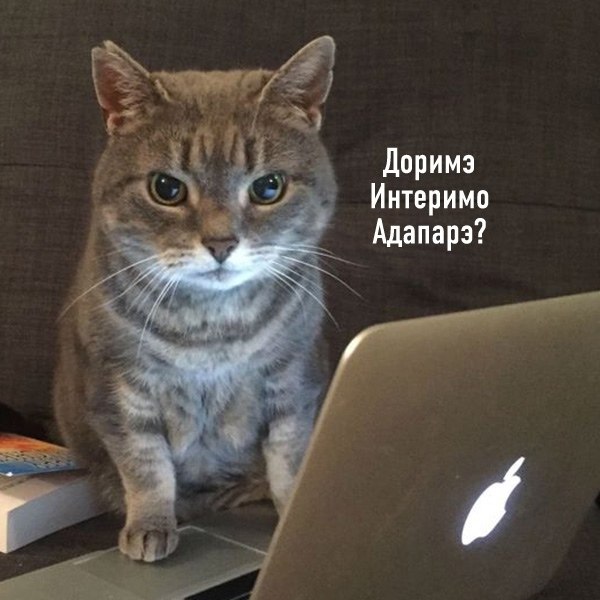  - 18  2021  19:47 - 7