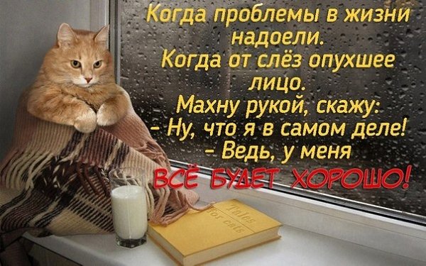 (^///^)