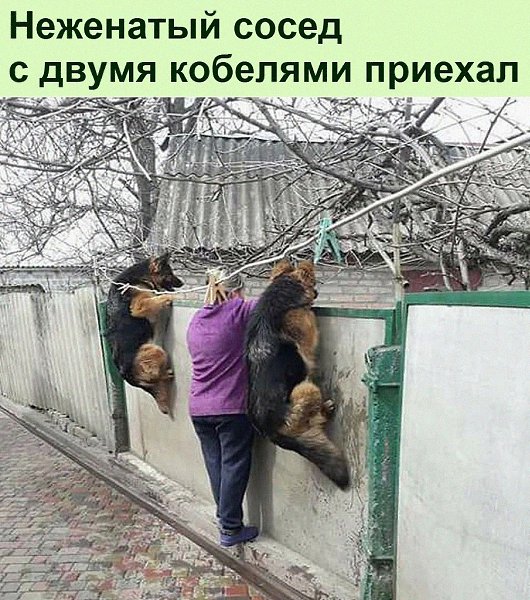   :D - 20  2021  20:47