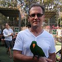 ���� ���������, ������� - ��������� 26 �������� 2021 � ������ �����