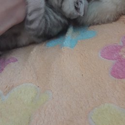 , , 21 