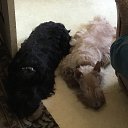 ���� ������, ������, 55 ��� - ��������� 28 ���� 2021 � ������ ���� ����������