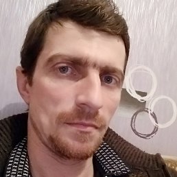 ������, ����, 41 ���