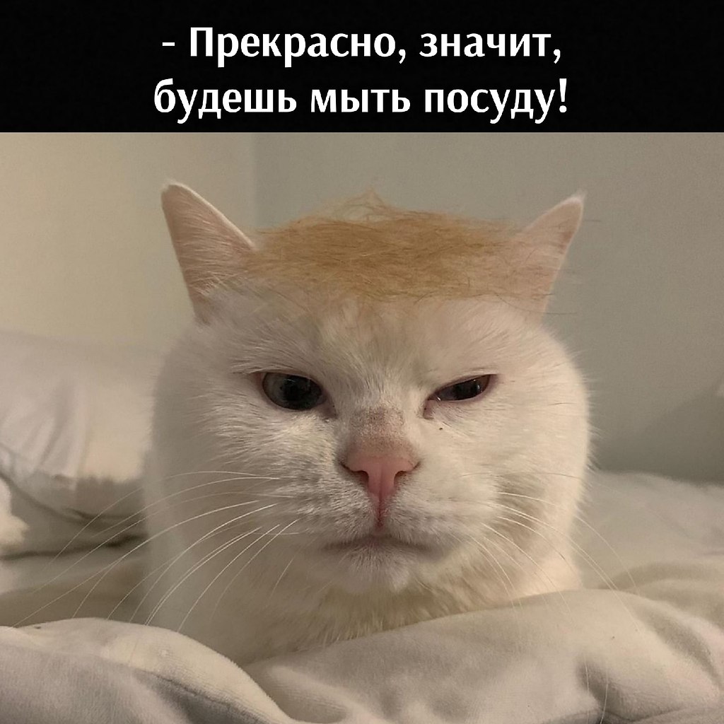      - 18  2021  12:14 - 3