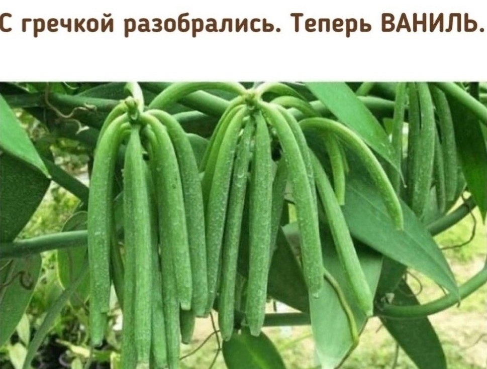      .        ? - 4