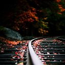���� �������, ������������, 41 ��� - ��������� 13 ������ 2021 � ������ ��������