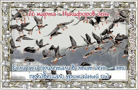   ,    . - 25  2021  22:30