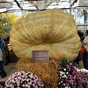 ����� �������� , 692,5 ��. ����� ������� �� ��������. �� ������� ���� ����������