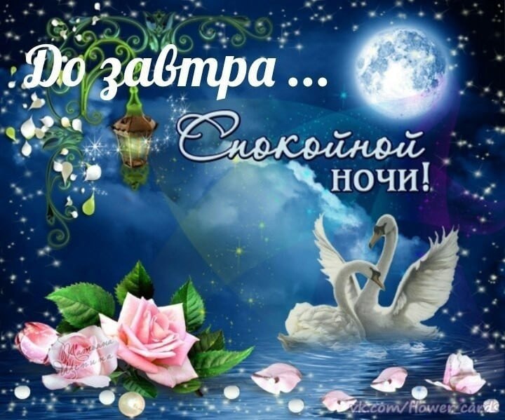   ,    . - 12  2021  22:51 - 4
