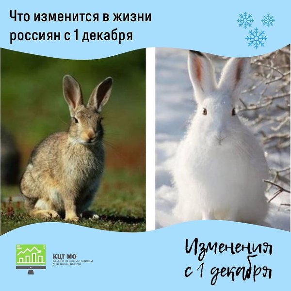 С 1 декабря к социально значимым сайтам предоставят бесплатный доступ.В перечень таких ресурсов ...