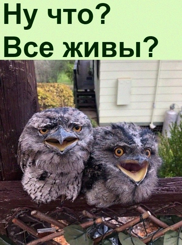   :D - 1  2022  08:45