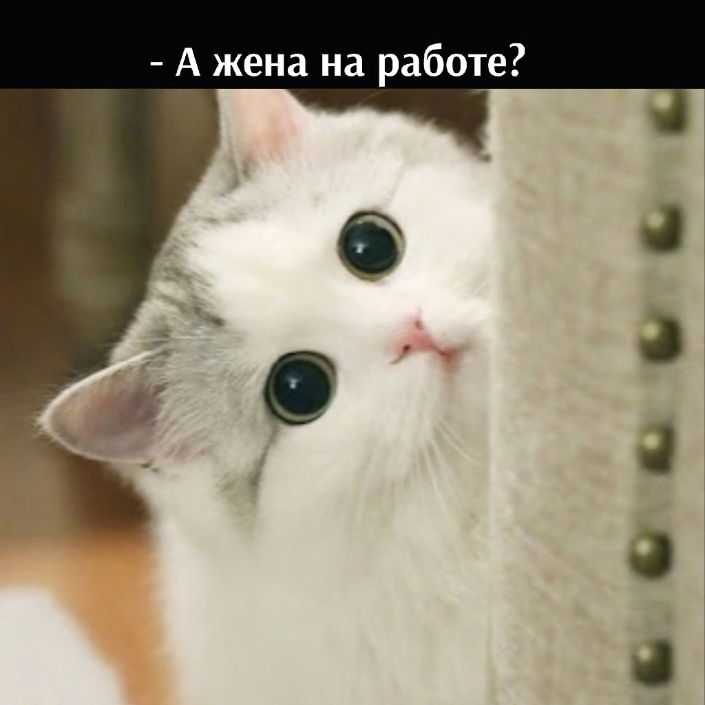       - 14  2022  19:13 - 3