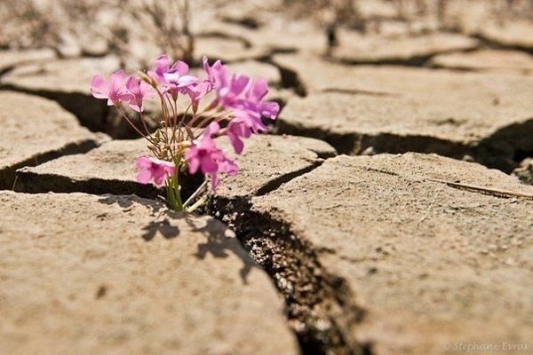 Как бы трудно Вам ни было - не меняйте красоту своей души на мертвый холод камня! Даже если Вас ...